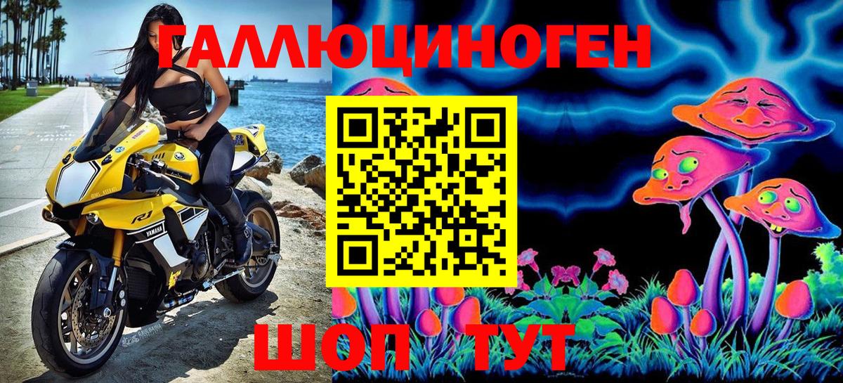 Псилоцибиновые грибы Psilocybe  Вход с VPN  Псилоцибиновые грибы Magic Shrooms  купить закладку  Калач-на-Дону 